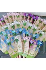 KİŞİYE ÖZEL HEDİYELİK 20 ADET TOHUMLU KALEM