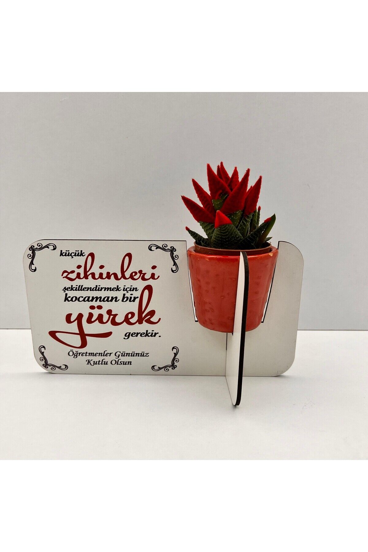 Öğretmenler Günü Hediyesi (canlı çiçekli,porselen saksılı)