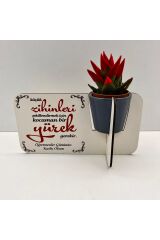 Öğretmenler Günü Hediyesi (canlı çiçekli,porselen saksılı)