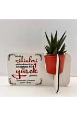 Öğretmenler Günü Hediyesi (canlı çiçekli,porselen saksılı)