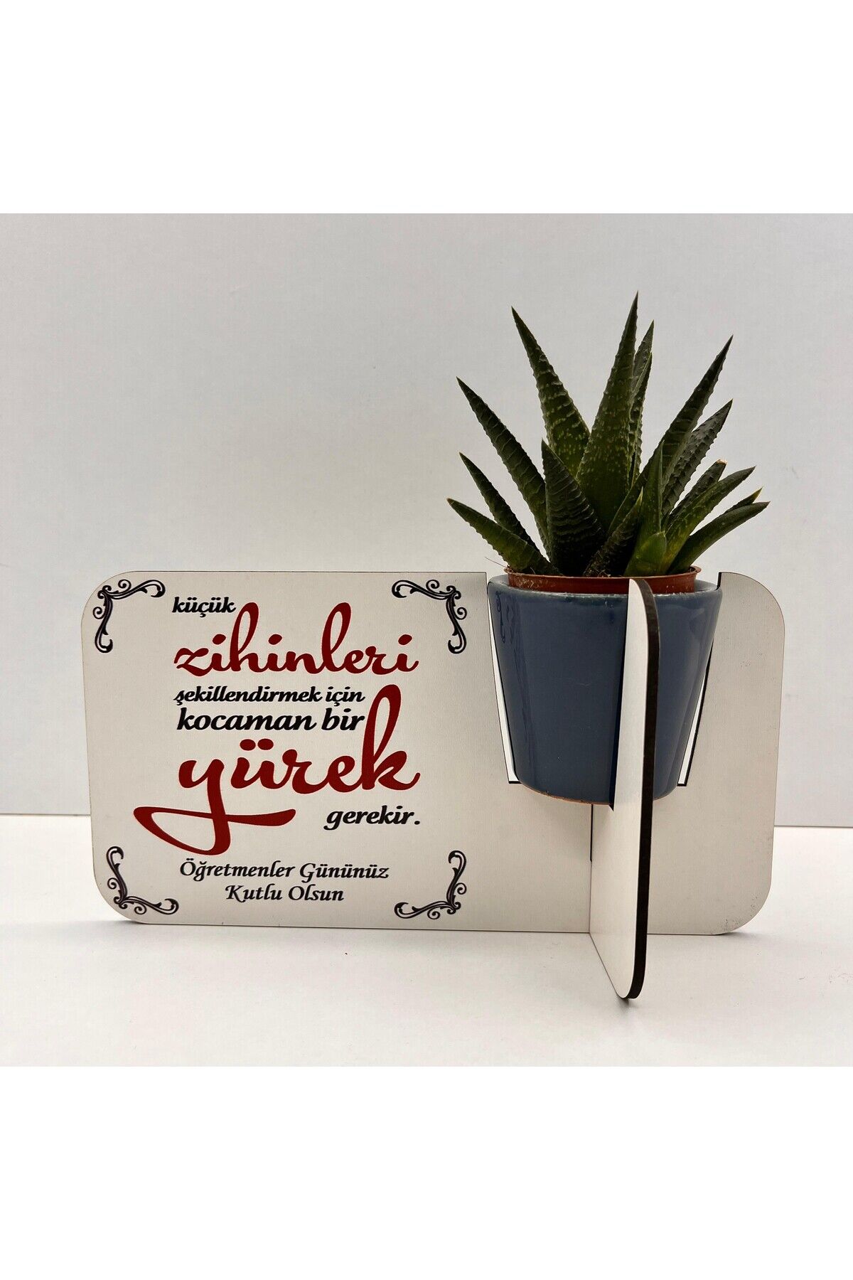 Öğretmenler Günü Hediyesi (canlı çiçekli,porselen saksılı)