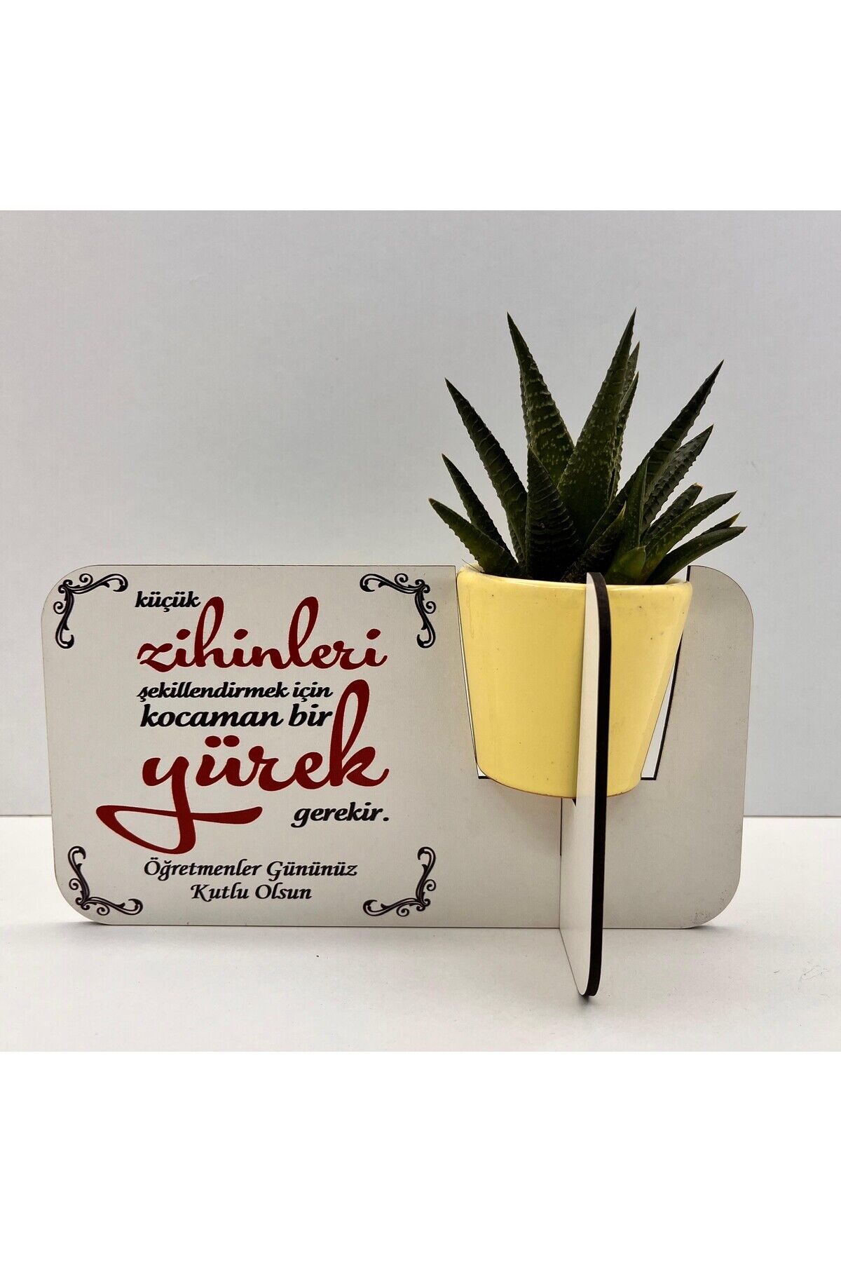 Öğretmenler Günü Hediyesi (canlı çiçekli,porselen saksılı)