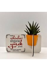 Öğretmenler Günü Hediyesi (canlı çiçekli,porselen saksılı)