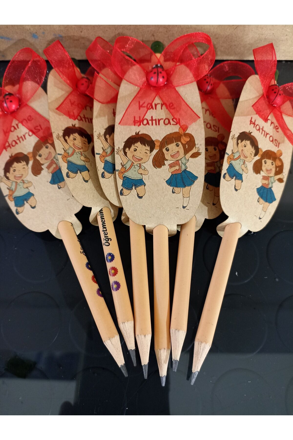 Karne hediyesi Tohumlu Kalem