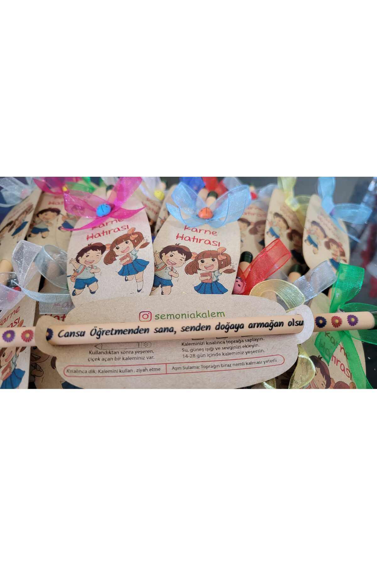 Kişiye Özel Karne Hediyesi Renkli  Tohumlu Kalem