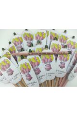 Hediye Kişiye Özel Doğum Günü Hatırası Tohumlu Kalem