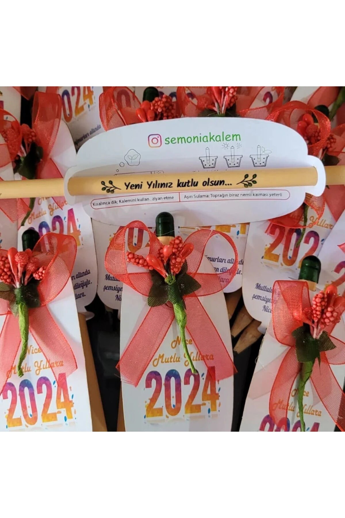 Yılbaşı Hediyesi Tohumlu Kalem